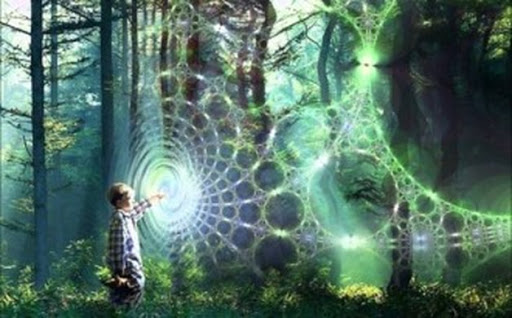 love-creation-and-morphic-resonance